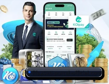 2026世界杯 APP